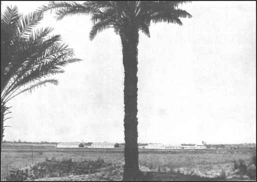 Mellaha airbase