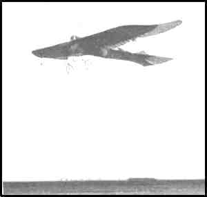 Taube Monoplane in Flight