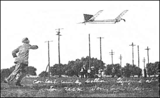 Champion Cross-Country